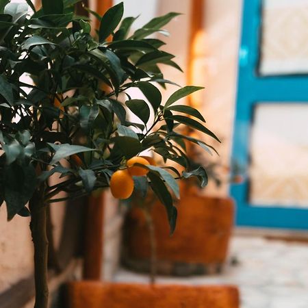 B&B Ziu Anacletu Villaputzu Εξωτερικό φωτογραφία